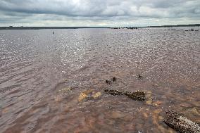Kuialnyk Estuary